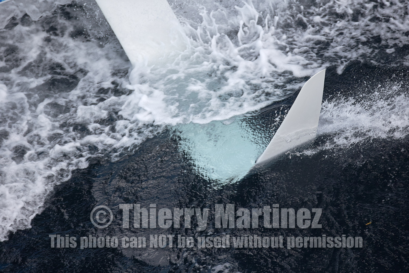 THM-15_72703_Banque_Populaire_VIII